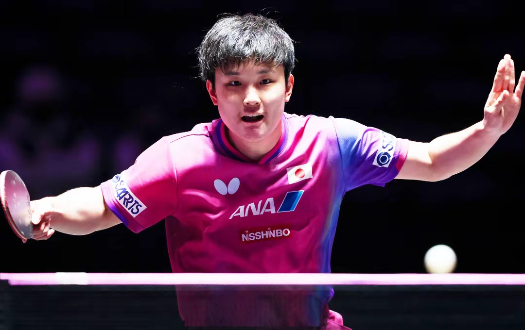 韩国队逆转波兰队,张本智和高光表现 韩国队逆转波兰队,张本智和高光表现