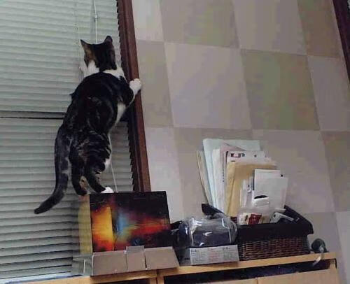 开云体育中国-双线叙事，从太原到马德里，篮球的共振