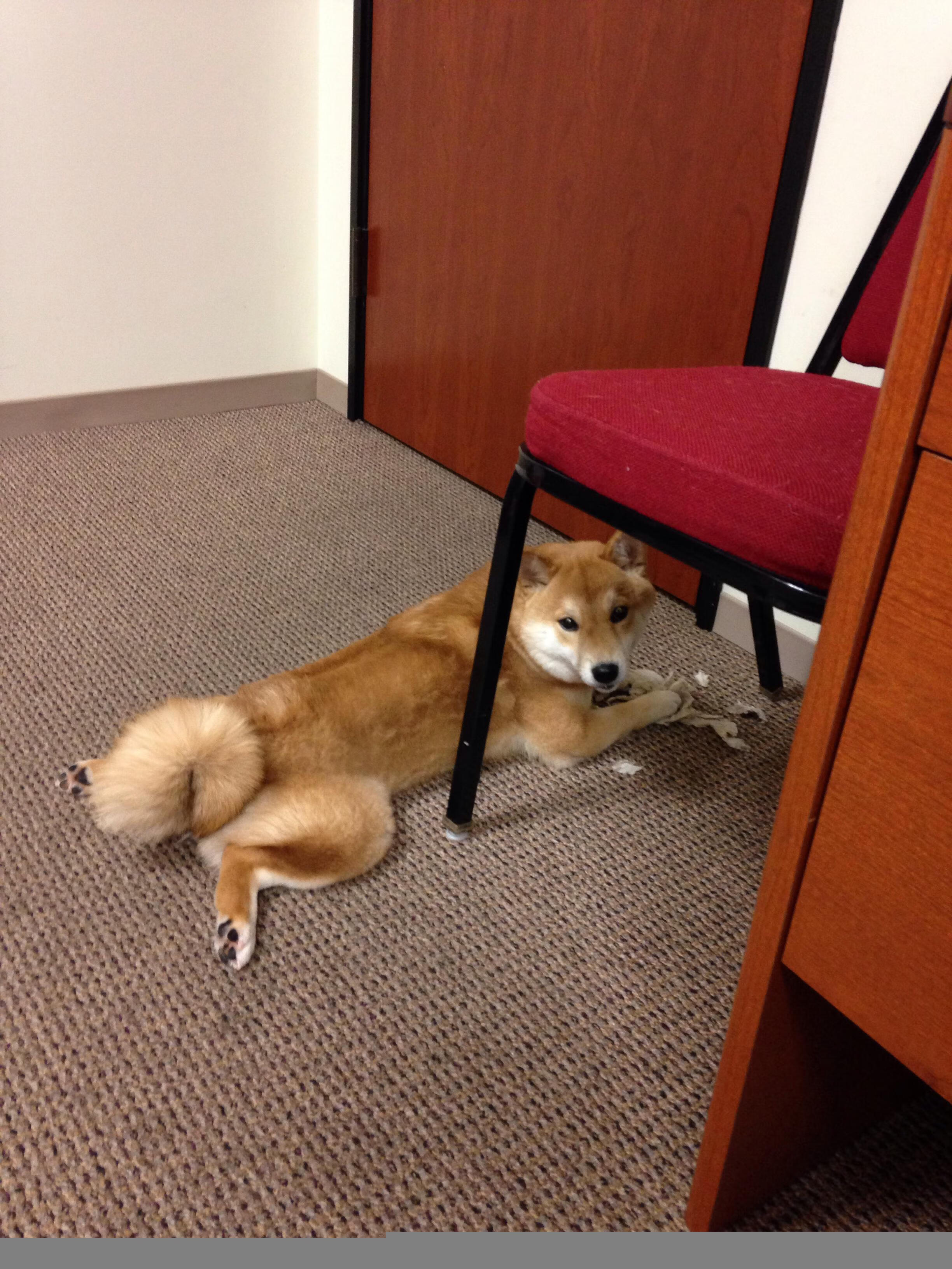 孤星之证，帕尔默的47分钟与一座城的呼吸