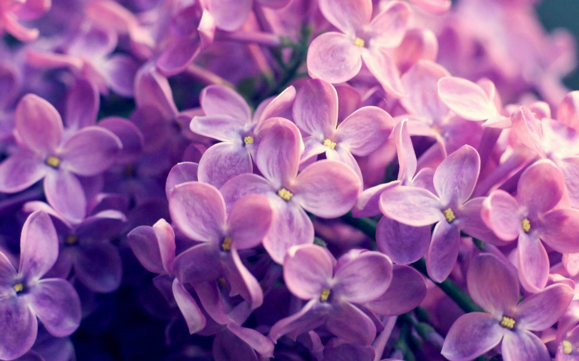 虚拟绿茵，当波斯密码解锁巴萨的终极突围