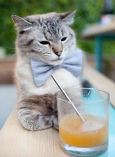 篮球奇观！吉林队单节打出47-10，创造CBA唯一击败NBA球队的纪录