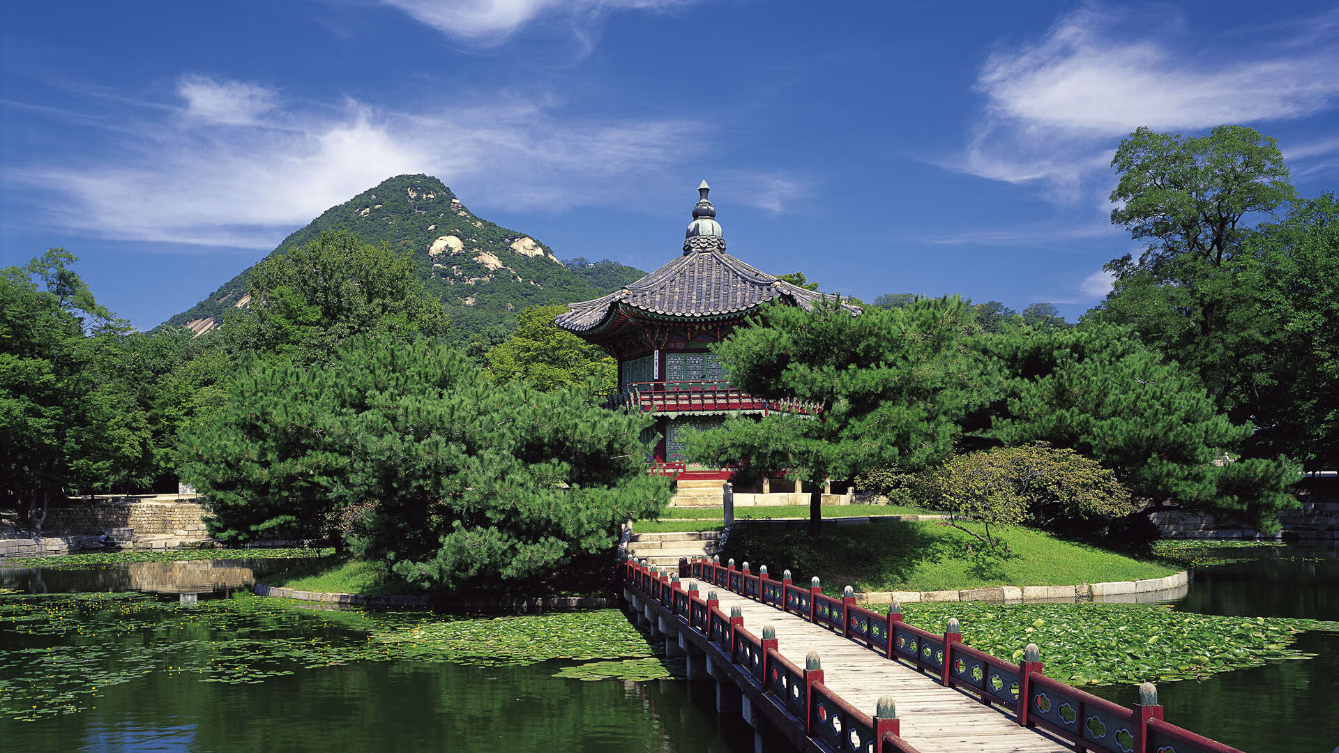 加克波闪耀锋线，塞内加尔战术碾压完胜几内亚