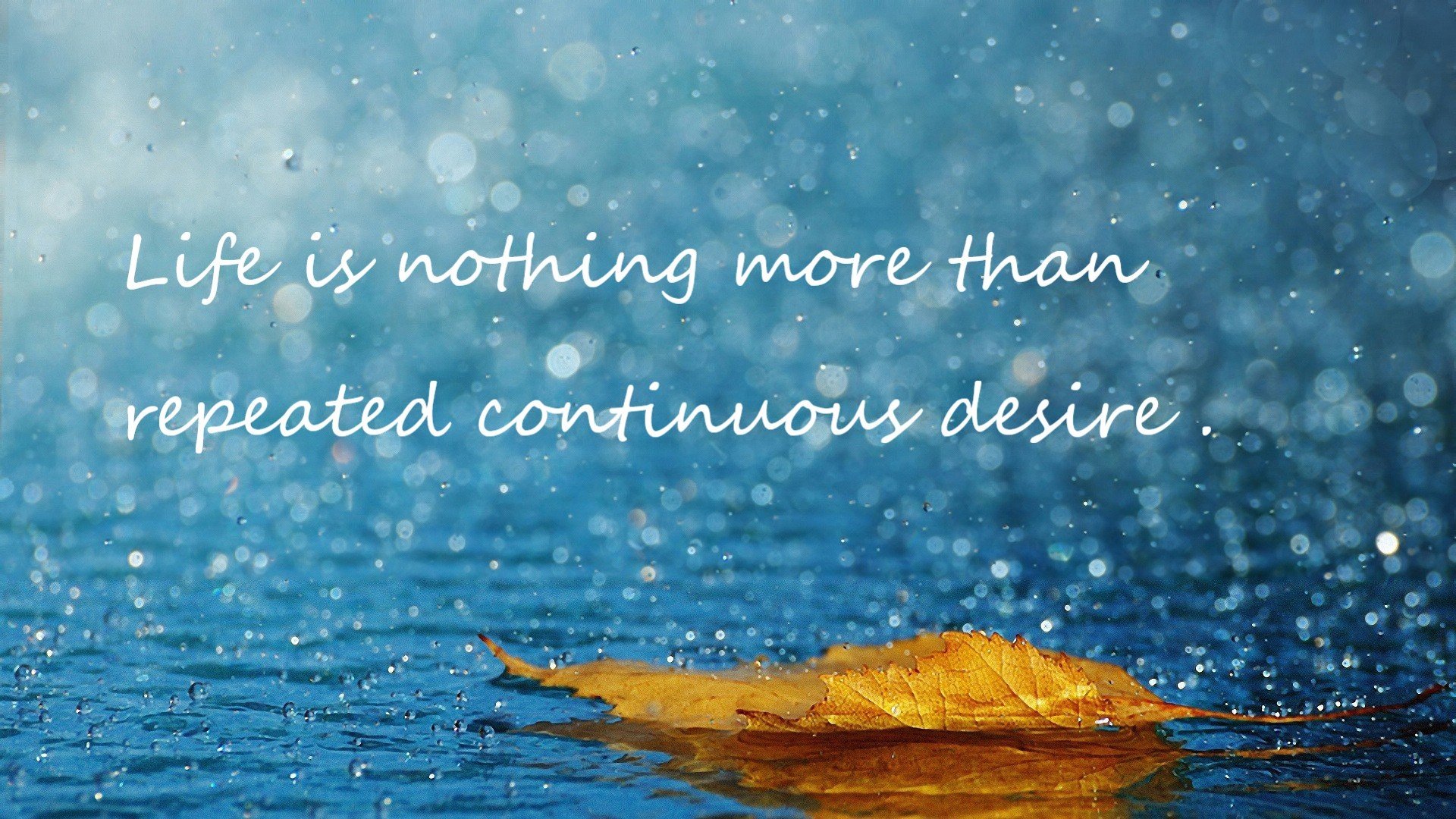 唯一性，西亚卡姆决定时刻的心脏，诠释了为何老鹰为他赌上一切