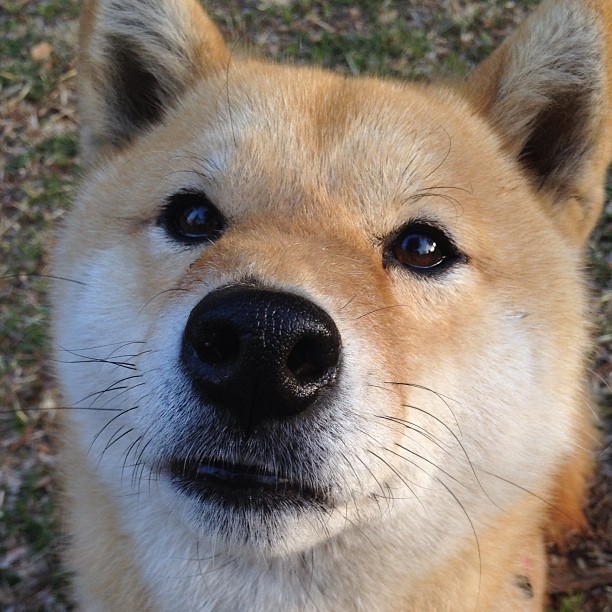 铁王座下的征服，勒布朗·詹姆斯以国王之姿斩落骑士，上演定义时代的压制级演出