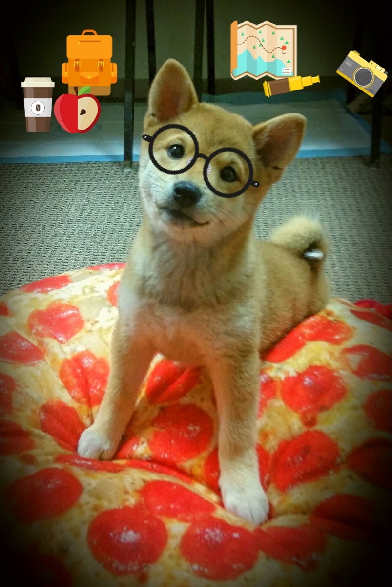 开云体育在线-虚拟对决，当战火重燃—热火与太阳的西决生死战